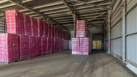 logistic, storage, shipment, industry and manufacturing concept timelapse hyperlapse - forklift...