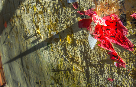 On a wall in late afternoon sunlight,Granada,Andalucia,Spain.の写真素材