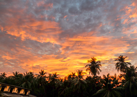 Beautiful layers of cloud and glowing sky above silhouettes of palm trees soon after the sun had set.の写真素材