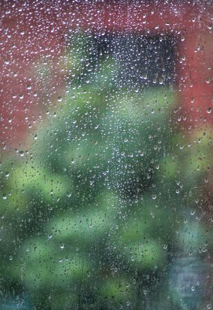 Showing blurred objects in the background,a back yard, after a typical Winter afternoon shower as the sun starts to re-emerge.の写真素材