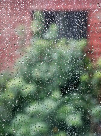 Showing blurred objects in the background,a back yard, after a typical Winter afternoon shower as the sun starts to re-emerge.の写真素材