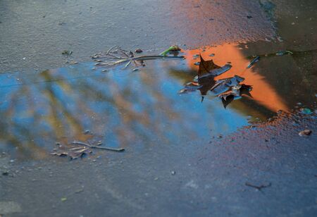 Dead leaves,a red brown shed,a bare tree and blue sky colorfuly reflected by the emerging winter sun.の写真素材
