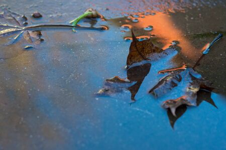 Dead leaves,a red brown shed,a bare tree and blue sky colorfuly reflected by the emerging winter sun.の写真素材