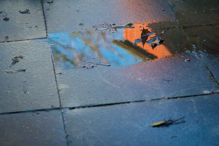Dead leaves,a red brown shed,a bare tree and blue sky colorfuly reflected by the emerging winter sun.の写真素材
