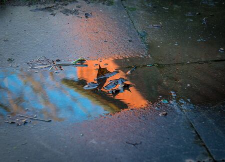 Dead leaves,a red brown shed,a bare tree and blue sky colorfuly reflected by the emerging winter sun.の写真素材
