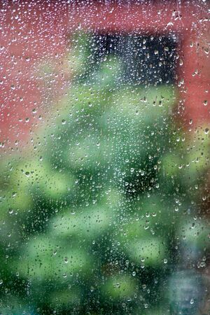 Showing blurred objects in the background,a back yard, after a typical Winter afternoon shower as the sun starts to re-emerge.の写真素材