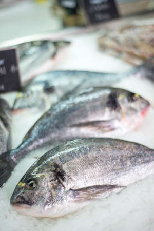 Closeup of whole raw fish freshly arranged on finely chopped ice,at Kotor's main market along the quayside at Kotor Bay.の写真素材