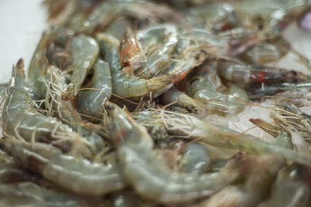 Closeup of uncooked shrimp freshly arranged on a bed of crushed ice,at Kotor's main market along the quayside at Kotor Bay.の写真素材