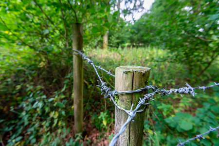 Used to seperate various private areas within the large area of woodland in the south of England.