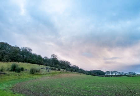 Looking towards distant trees beyond green arable fields,the clouds glowing orange just after...