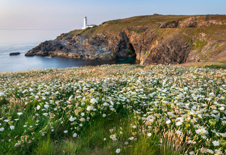 The historic lighthouse,a popular tourist spot,whitewashed and summer sun kissed landmark in the...