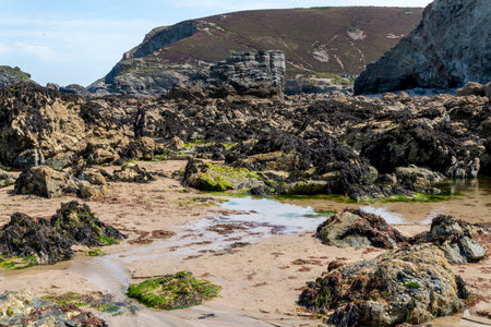 Sunny mid summertime with hot sunshine,at midday on the north Cornish coast,surrounded by...