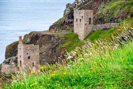 View from flower covered clifftop,UNESCO World Heritage site,on a calm summer day on the dramatic north Cornish coast,a popular National Trust holiday,tourist and clifftop walks destination.のeditorial素材