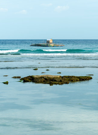 Supported by empty oil cans,used as floats,the makeshift hut provides shelter and a place to rest, for the fishermen,who lower the nets around the bamboo area to catch fish through night and day.の写真素材