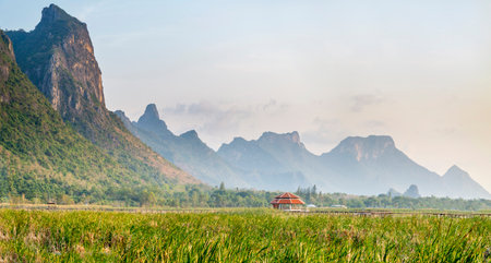 Freshwater Marsh and largest wetlands area in Thailand,with mangrove forests and great diversity of bird species and ecosystems, a nature walk across boardwalks and water lilies,and mountain scenery.の写真素材