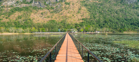 Freshwater Marsh and largest wetlands area in Thailand,with mangrove forests and great diversity of bird species and ecosystems, a nature walk across boardwalks and water lilies,and mountain scenery.の写真素材