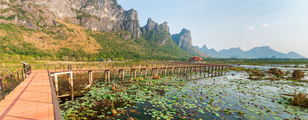 Freshwater Marsh and largest wetlands area in Thailand,with mangrove forests and great diversity of bird species and ecosystems, a nature walk across boardwalks and water lilies,and mountain scenery.の写真素材