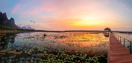Freshwater Marsh and largest wetlands area in Thailand,with mangrove forests and great diversity of bird species and ecosystems, a nature walk across boardwalks and water lilies,and mountain scenery.の写真素材