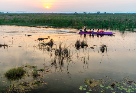 Freshwater Marsh and largest wetlands area in Thailand,with mangrove forests and great diversity of bird species and ecosystems, a nature walk across boardwalks and water lilies,and mountain scenery.の写真素材