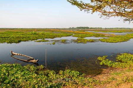 An small,old Khmer style boat ,partially submerged in shallow lake waters,sits in afternoon sunlight,overlooking beautiful, flat lakeland scenery.の写真素材