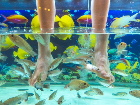 Tourists taking a fish pedicure by immersing feet in a water tank filled with little fishes,that gently 'clean' the feet by nibbling away dead skin,a fun way to ease tired feet.の写真素材