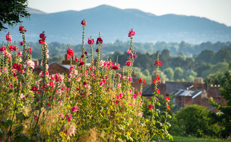 Looking toward the scenic Malverns hill range and summer countryside,from the hilltop site of the...
