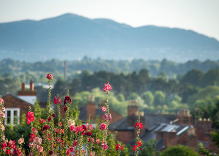 Looking toward the scenic Malverns hill range and summer countryside,from the hilltop site of the critical final battle of the Battle of Worcester,during the English Civil War,fought in 1651.の写真素材
