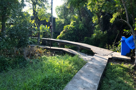 Concrete pathway,one of a network,linking each other and servicing homes, in this bio diverse,unique area of Bangkok,with canals,farmland, fields and lush tropical vegetation.の写真素材