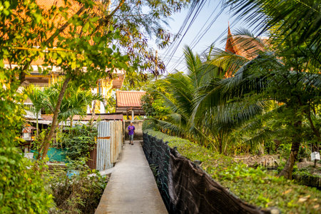 Thailand-January 26 2025:A local resident walks a narrow pathway,part of an intricate network,also popular with cyclists,running past temples,lush vegetation,diverse habitats,nature and farmland.の写真素材