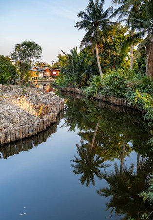 A winding waterway,part of an intricate network of small connecting canals and pathways,runs past resident's small wooden houses, through lush vegetation,bio-diverse natural habitats and farmland.の写真素材