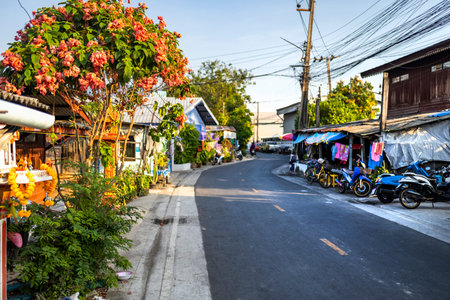 Within the environmentally green oasis of Bangkok, a typical small main road, part of a tiny network, connected by narrow pathways, running through lush vegetation, canals, natural habitats and farmland.の写真素材