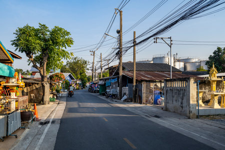 Within the environmentally green oasis of Bangkok, a typical small main road, part of a tiny network, connected by narrow pathways, running through lush vegetation, canals, natural habitats and farmland.の写真素材