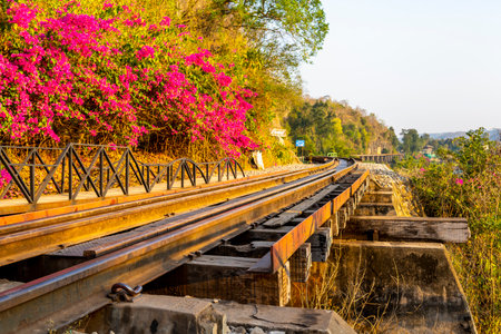The single rail track leads away from the station platforms, next to beautiful pink blossom, and...