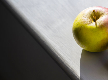 Windfall apples,sweet and crisp eaters,in the Autumn sun,Worcestershire,England,United Kingdomの写真素材