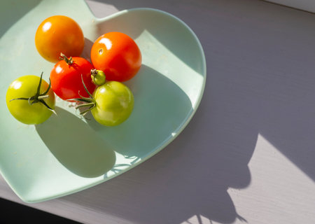Healthy and full flavoured,freshly picked organic red and green small tomatoes,are placed on a sunny south facing widow sill of a domestic home in England,until they are ripe enough to be consumed.の写真素材