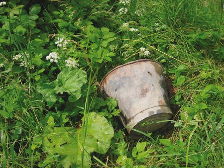 Discarded rusty bucket in weeds of allotment, England; の写真素材