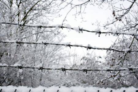 Snow covered barb wire fenceの写真素材