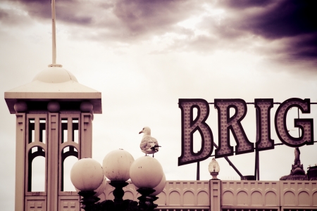 Seagull on lights Brighton Pierのeditorial素材