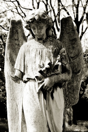 Angel with flowersの写真素材