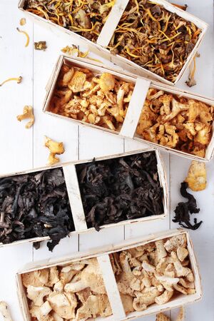 wild mushroomsの写真素材