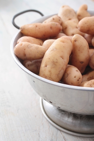 Pink fir apple potatoの写真素材