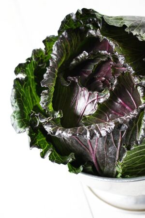spring king cabbageの写真素材