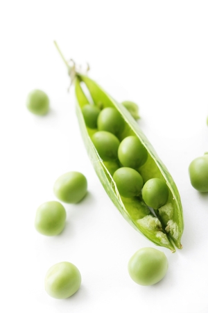 fresh garden peas in podの写真素材