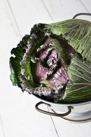spring king cabbageの写真素材