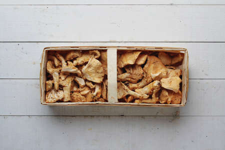 wild mushroomsの写真素材