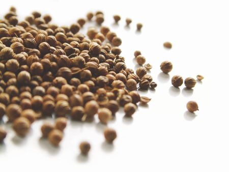 corriander spiceの写真素材