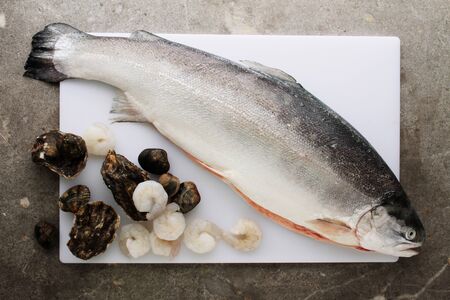 fresh sea troutの写真素材