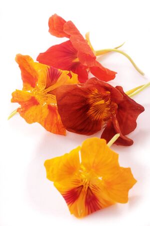 edible flowersの写真素材