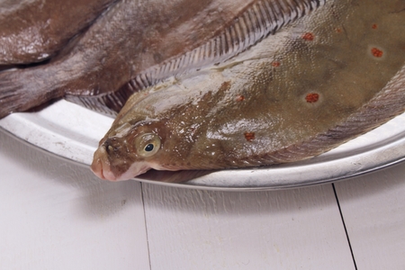 fresh fishの写真素材