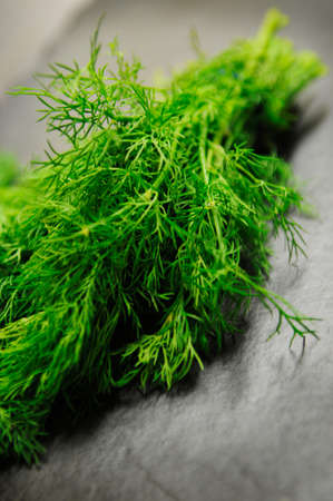 preparing fresh herbsの写真素材